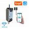 Модуль управления автоматическими воротами с WiFi подключением Aalarm SGC-2 (Tuya Smart/Smart Life)