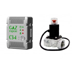 Сигнализатор СЗ-4.3(CH-CO) с клапаном КЗЭМГ DN25